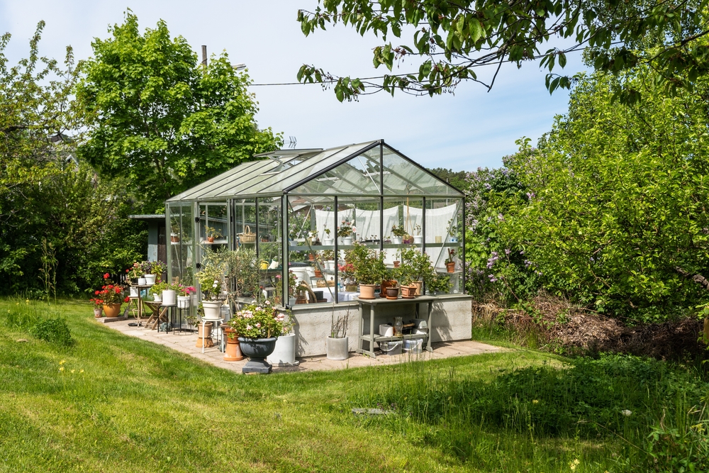 Discover The Best Greenhouses Available On Amazon